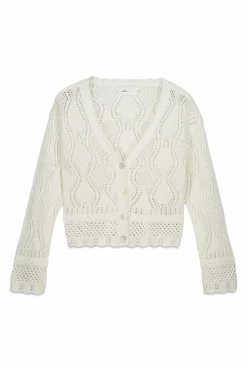 New Springfield Cardigan pointelle marron