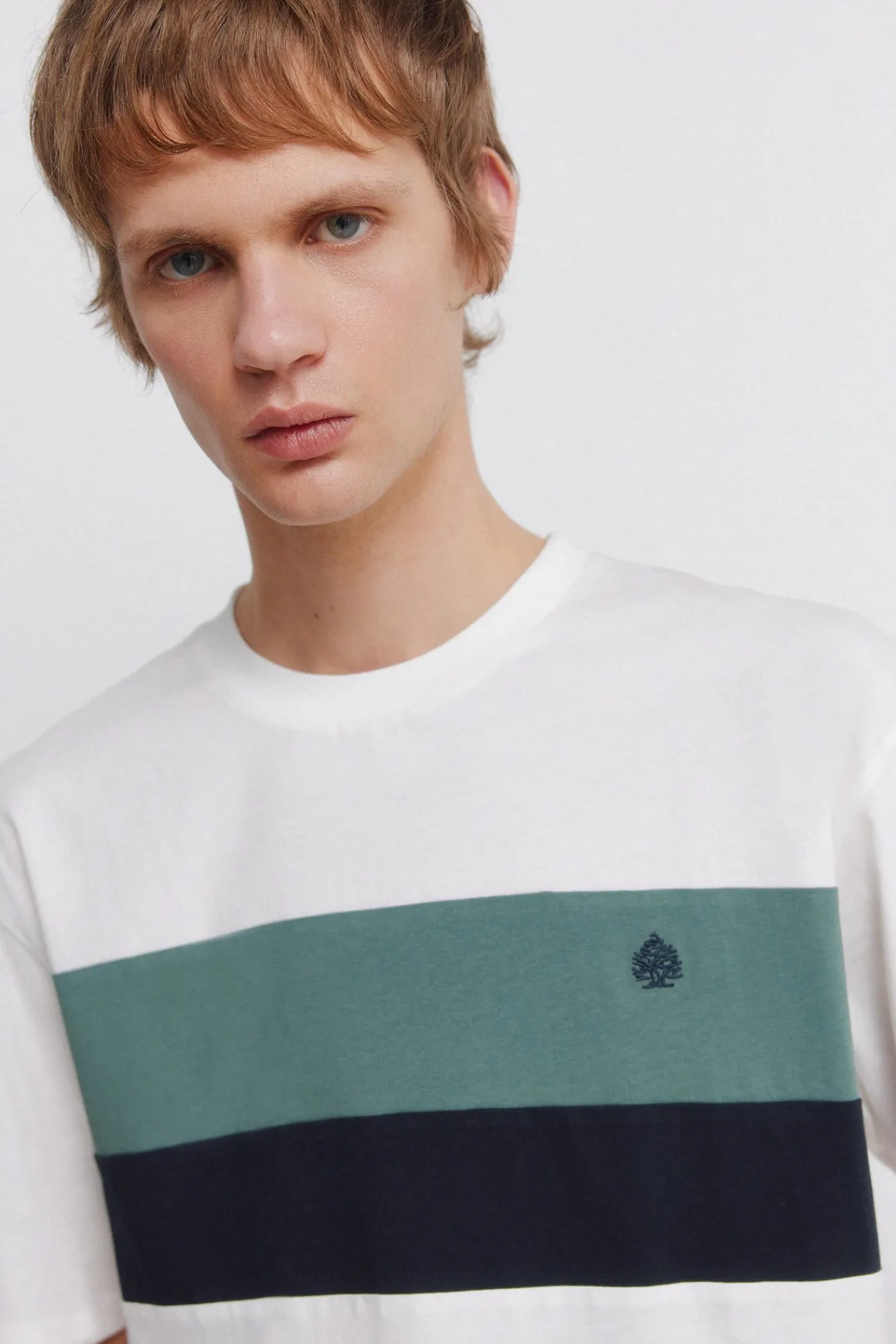 Springfield coupes de t-shirts