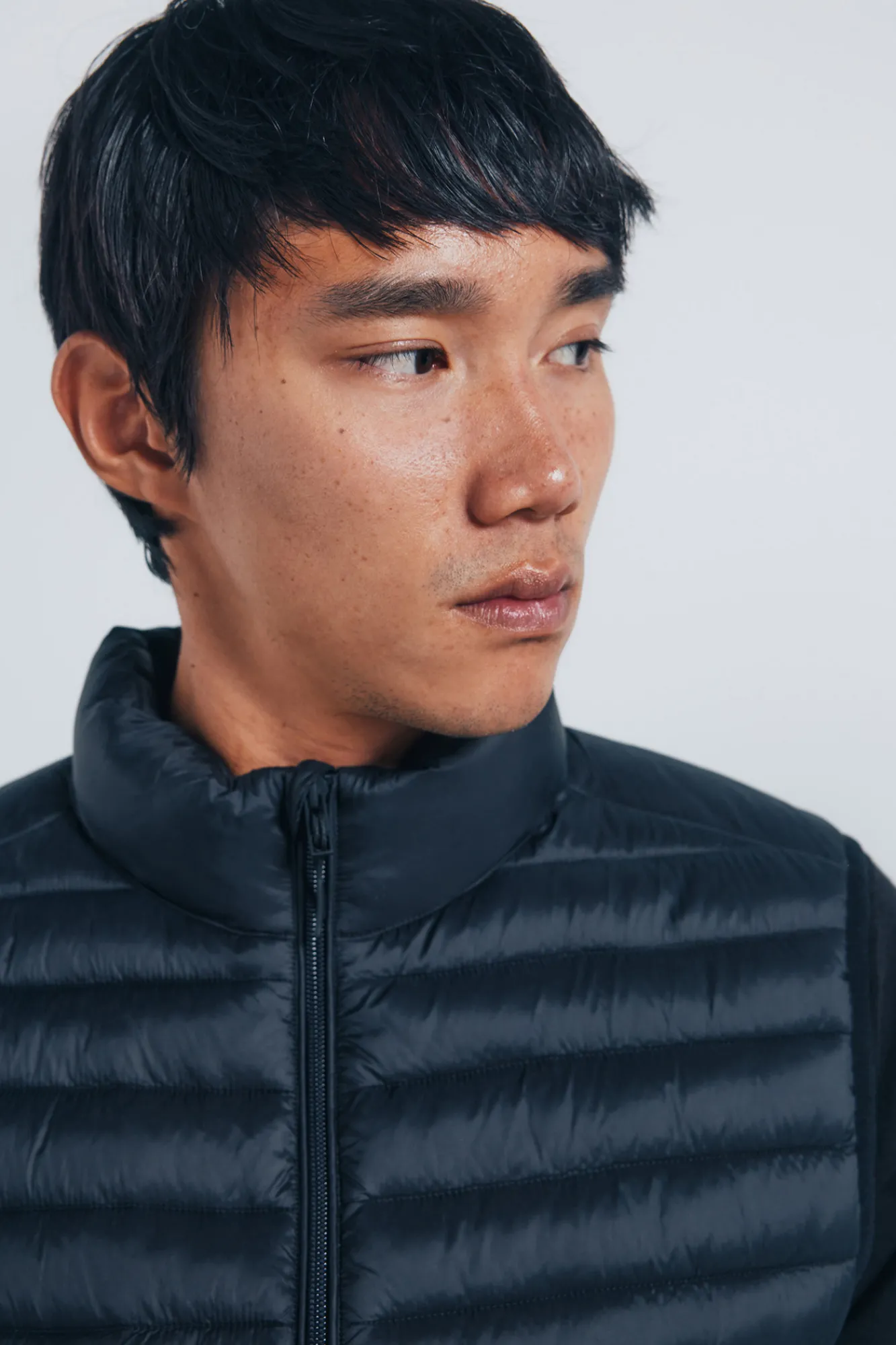 Discount Springfield Gilet matelassé