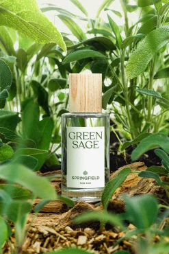Springfield GREEN SAGE 50 ML bleu