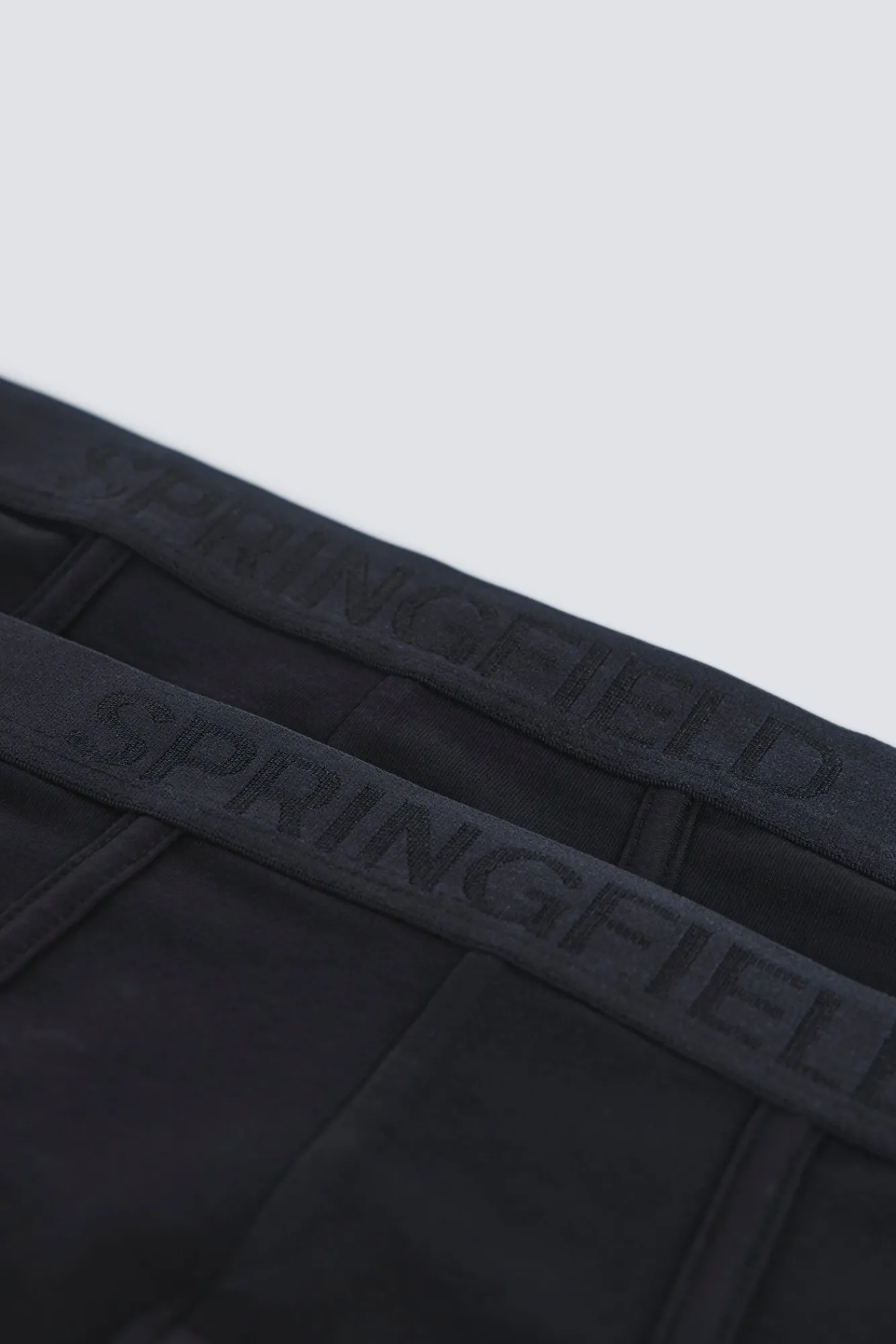 Springfield Pack de 2 slips basiques