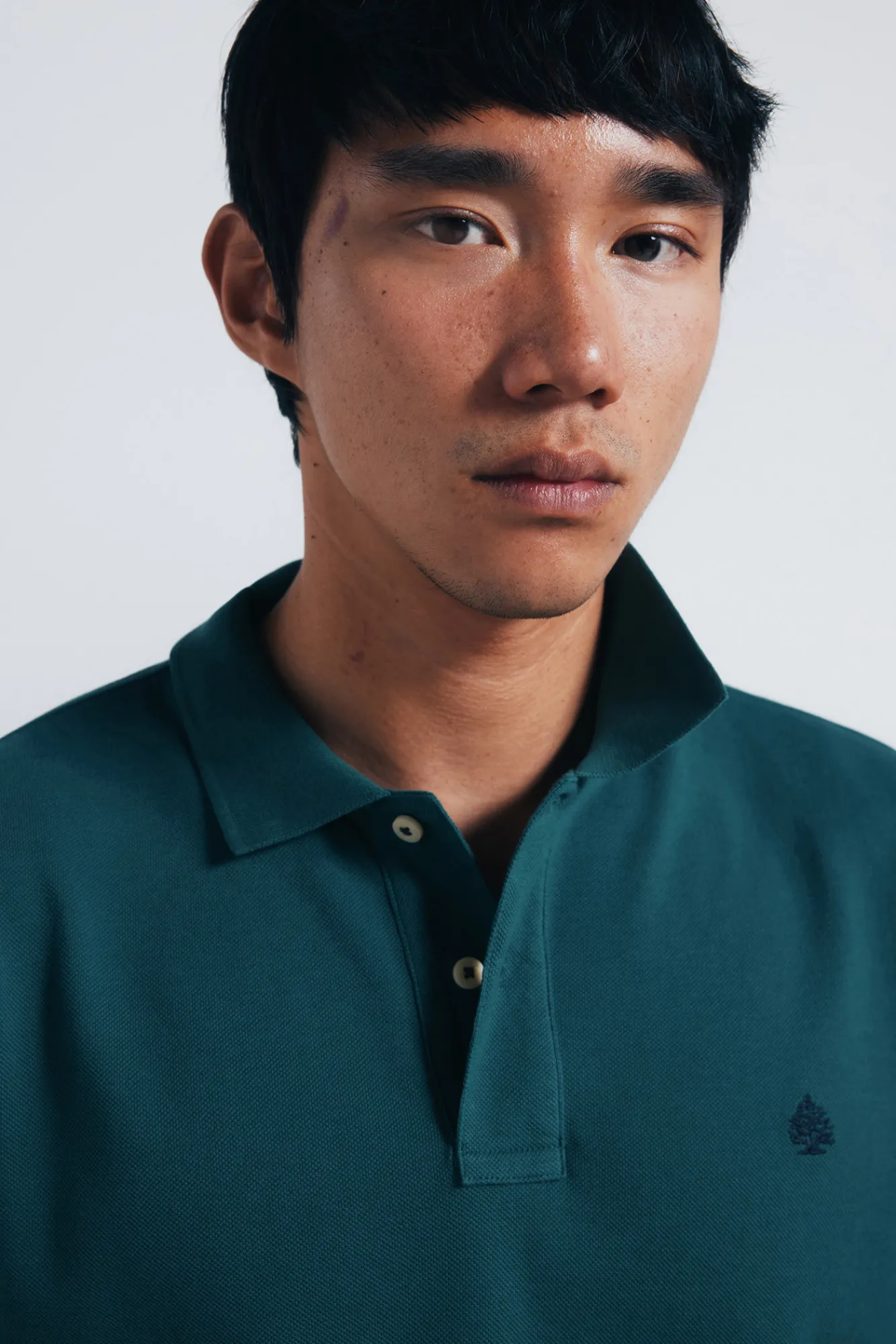 Discount Springfield Polo piqué basique regular fit vert