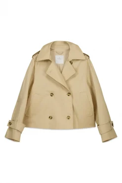 Best Springfield Trench court bleu