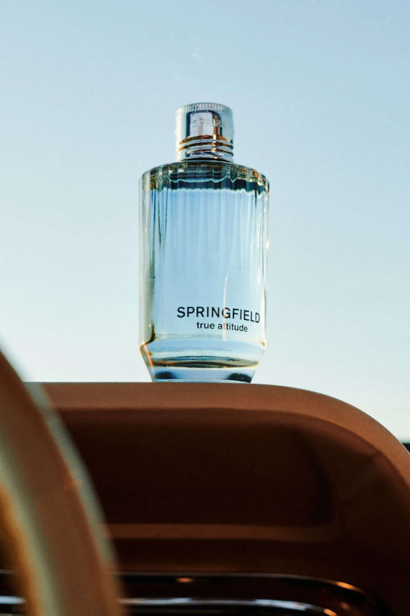 New Springfield True Attitude bleu