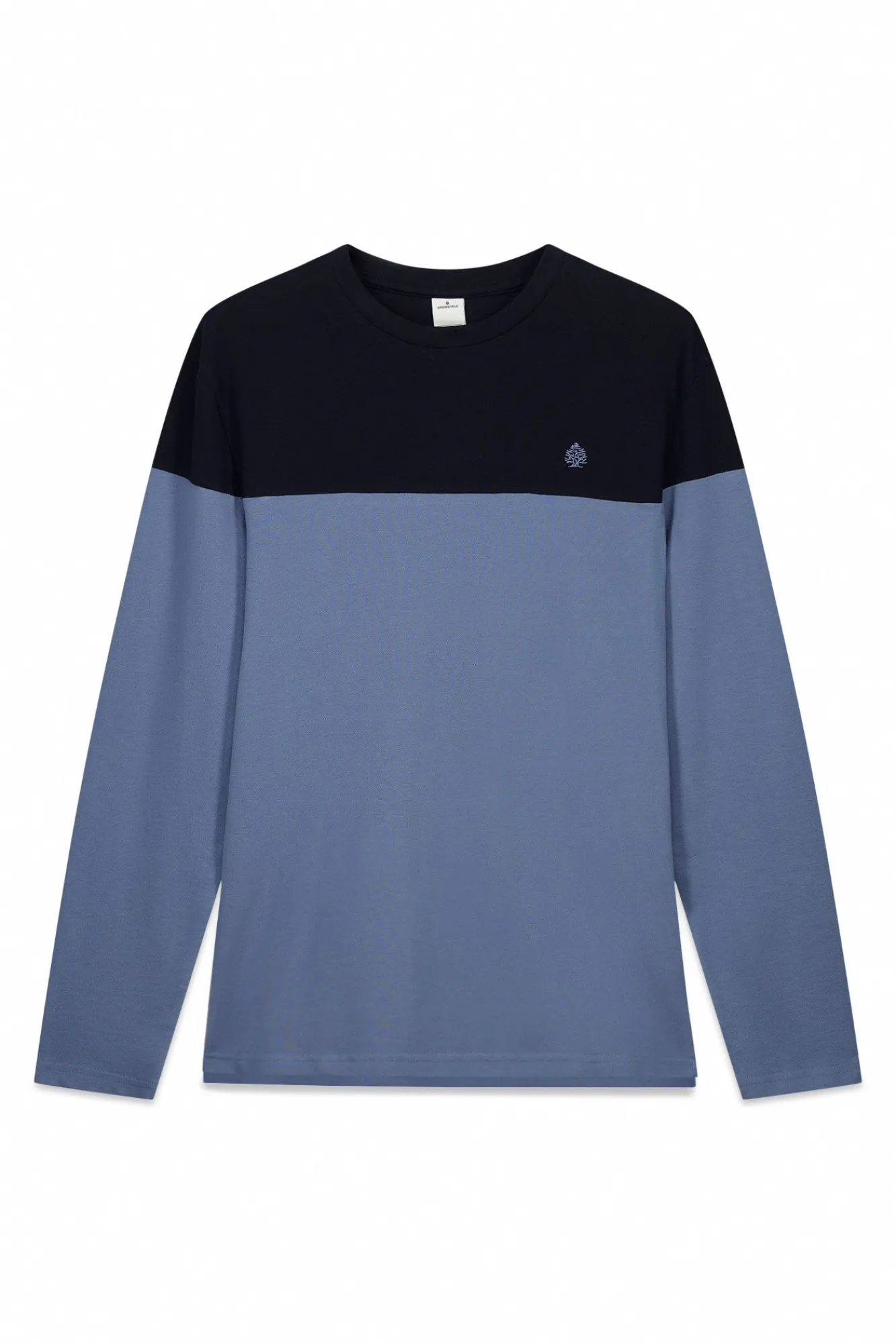 Hot Springfield T-shirt manches longues color block