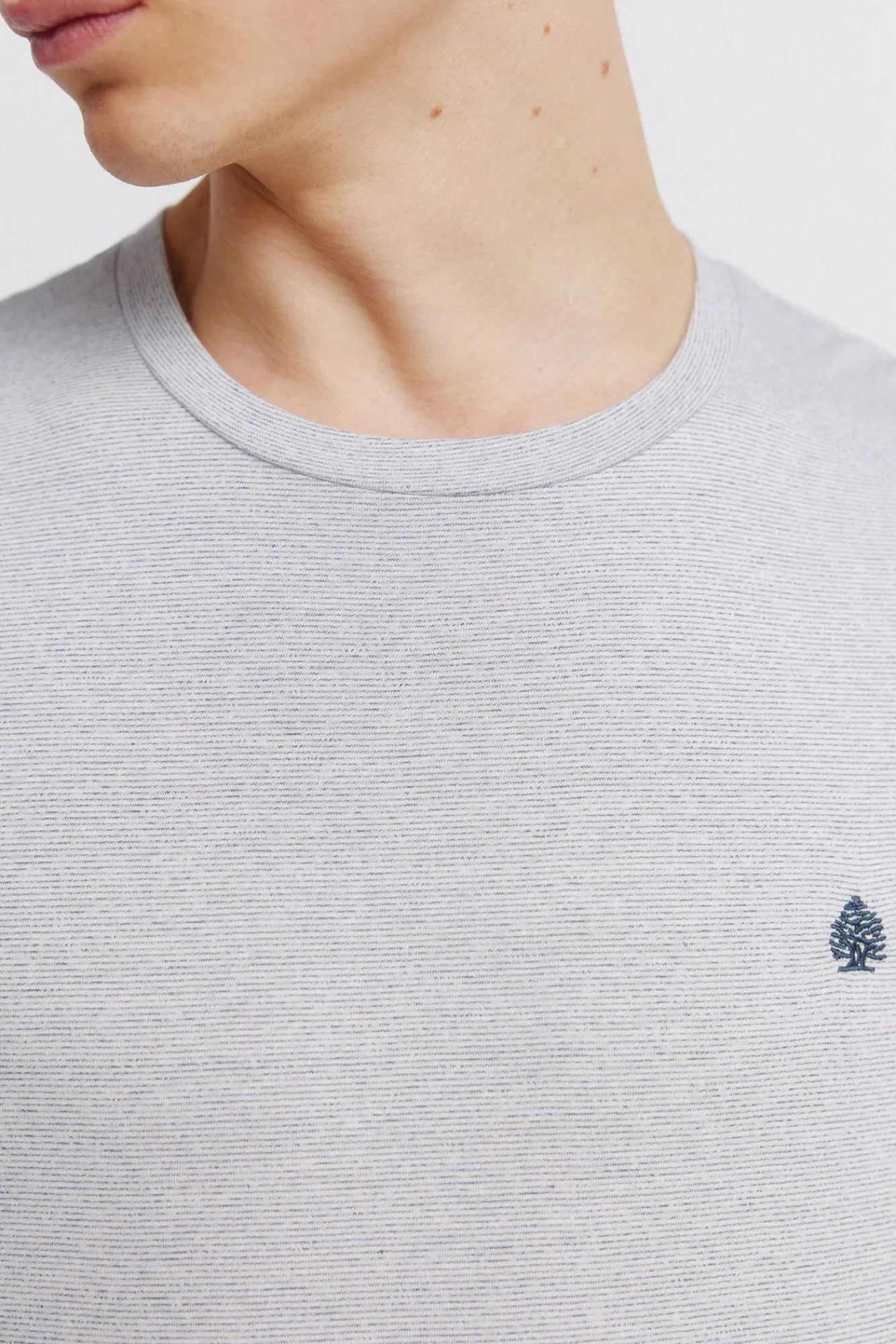 New Springfield T-shirt micro rayure