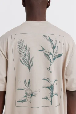Online Springfield T-shirt naturel nude